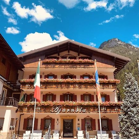 Albergo Garni Ajarnola Ауронцо-ді-Кадоре Екстер'єр фото