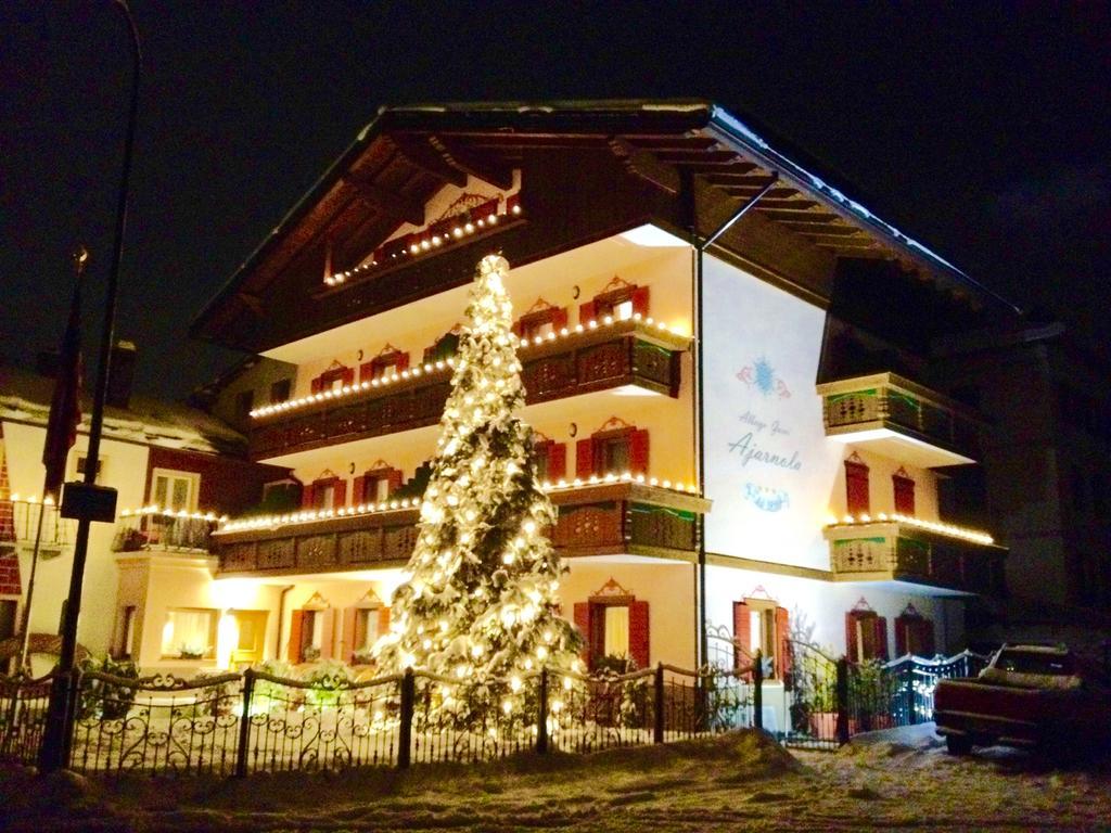 Albergo Garni Ajarnola Ауронцо-ді-Кадоре Екстер'єр фото